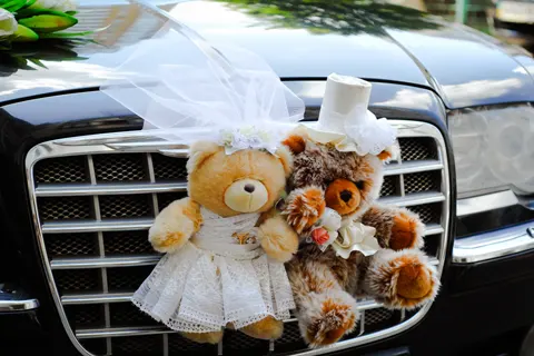 Taxi service for concerts and events in Melbourne